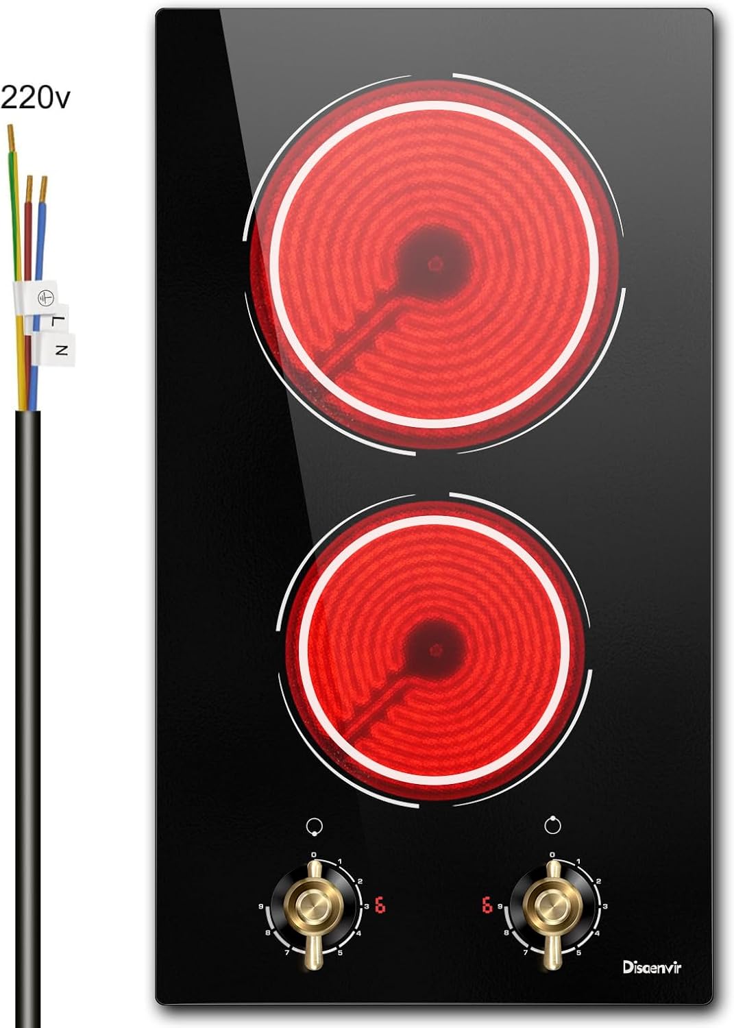 Disaenvir 2 Burner Electric Cooktop - 12 Inch Electric Stove Top 3000W, 220V Built-in Ceramic Cook Top with Retro Knob, 9 Power Heating Level, 220-240V Hard Wired