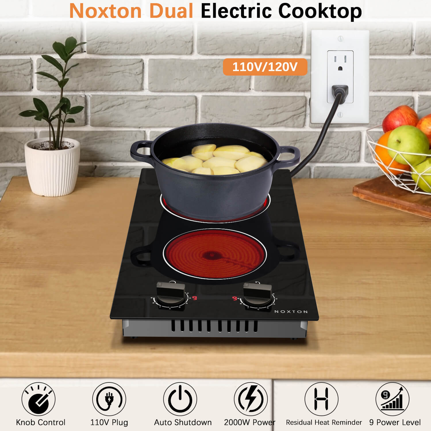 Noxton 12 Inch 2 Burners Plug in Electric Stove-Knob Control